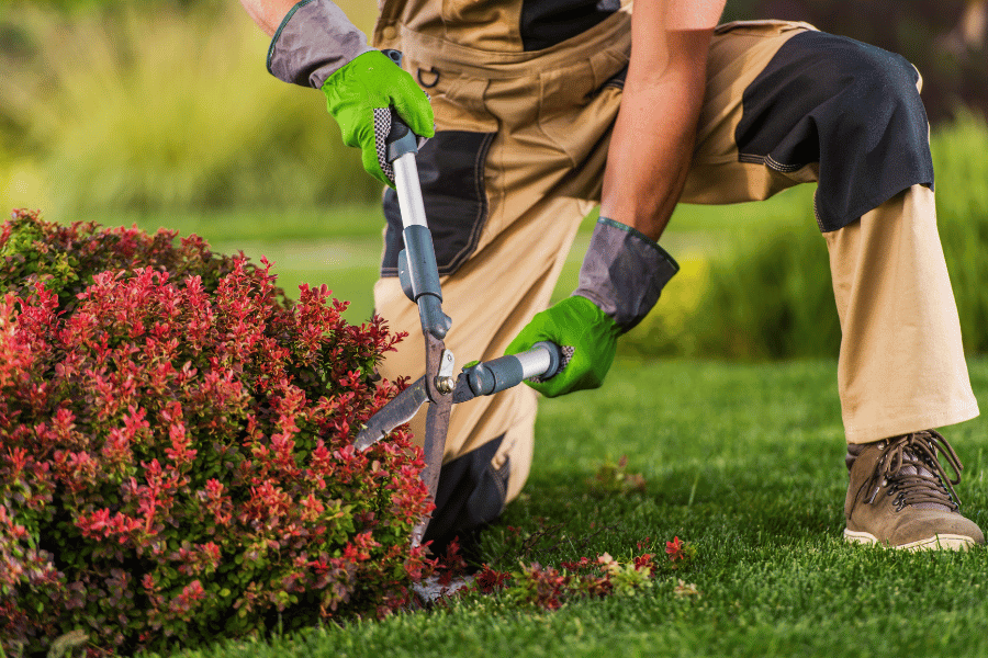 Usługi porządkowo - budowlane